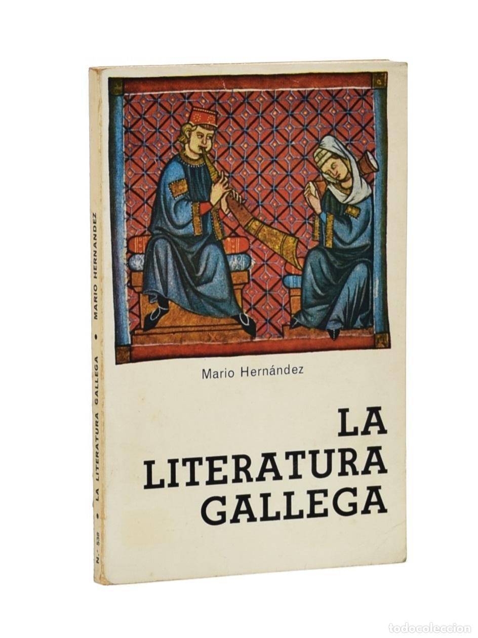Libros: LA LITERATURA GALLEGA - HERN&Aacute;NDEZ, Mario - Foto 1