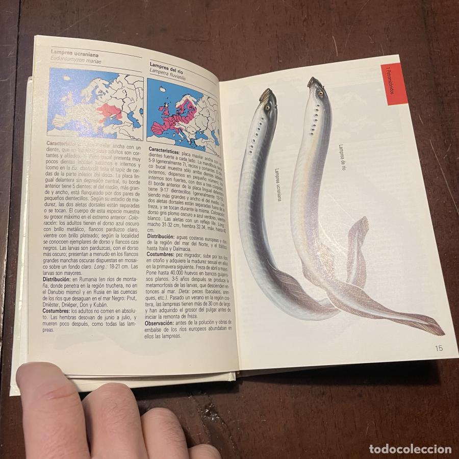 Libros: Peces de agua dulce - Fritz Terofal - Foto 2