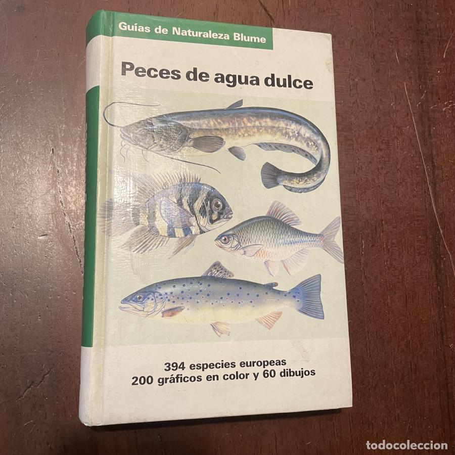 Libros: Peces de agua dulce - Fritz Terofal - Foto 1