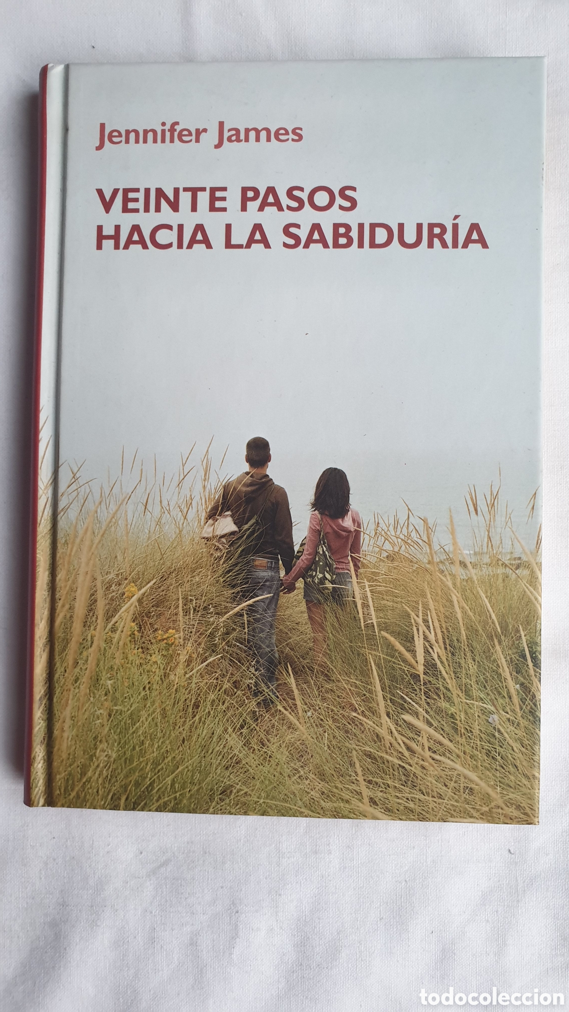 Libros: VEINTE PASOS HACIA LA SABIDUR&Iacute;A. JENNIFER JAMES. RBA. - Foto 1
