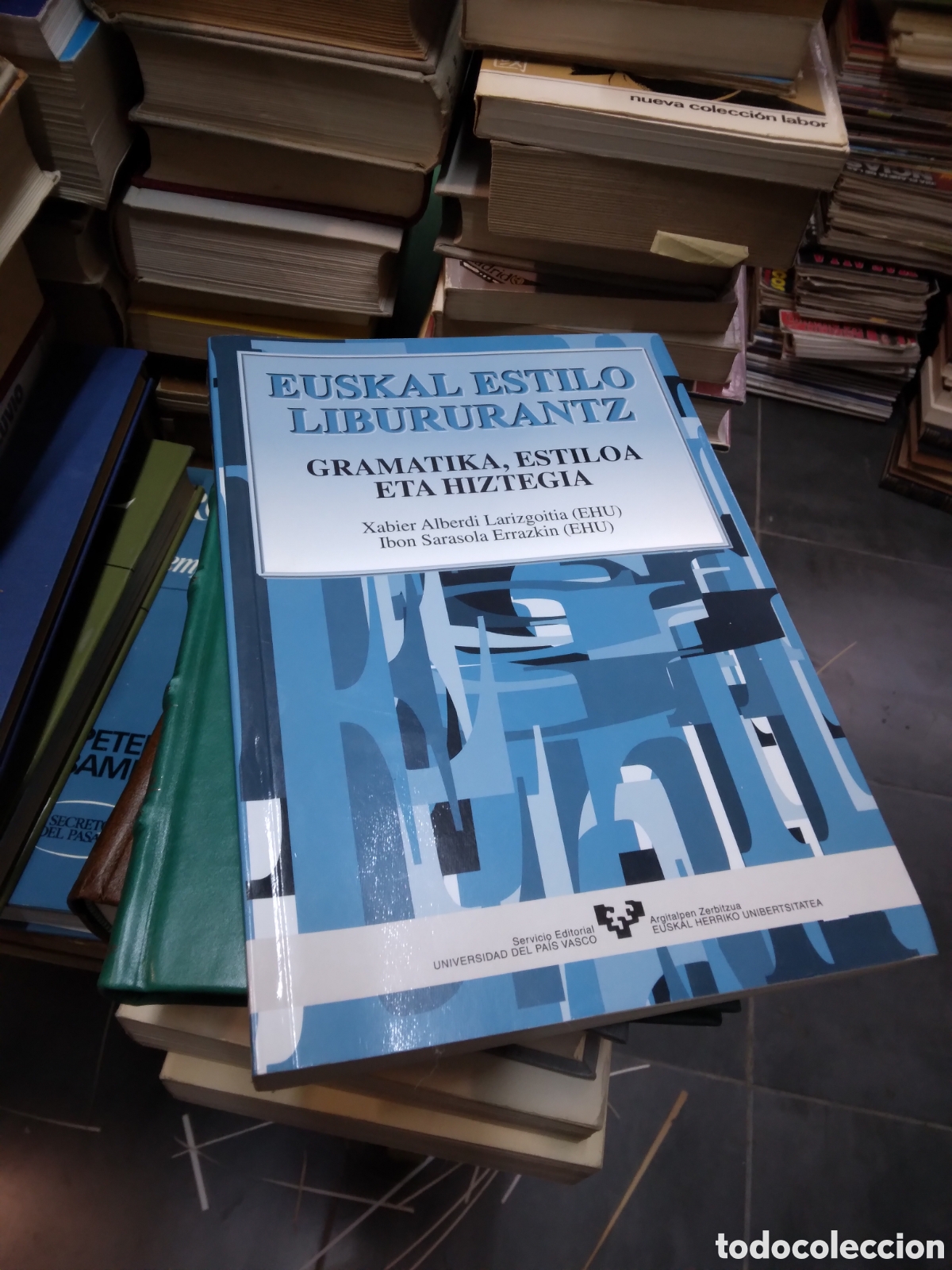 Libros: Xabier Alberdi Euskal estilon libururantz,UPV - Foto 1