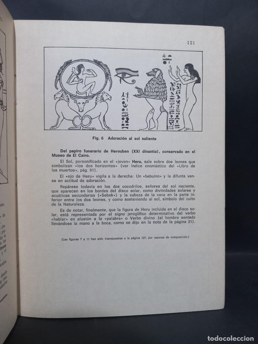 Libros: EDUARDO ALFONSO - COMPENDIO DE GRAMATICA JEROGLIFICA DEL EGIPCIO CL&Aacute;SICO - PRIMERA EDICI&Oacute;N - 1979 - Foto 3