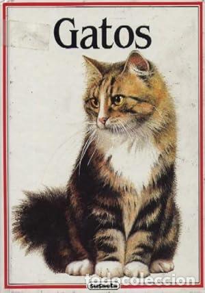 Libros: GATOS - Albert Pintera - Foto 1