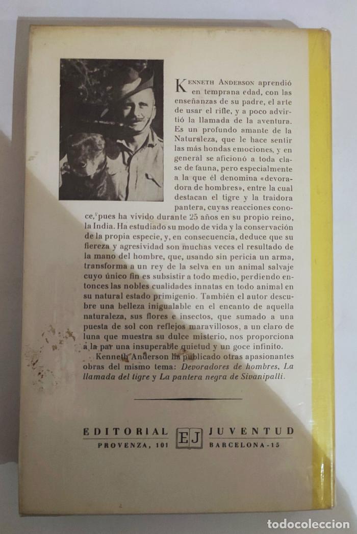 Libros: ESTO ES LA JUNGLA - Kenneth Anderson - Foto 2