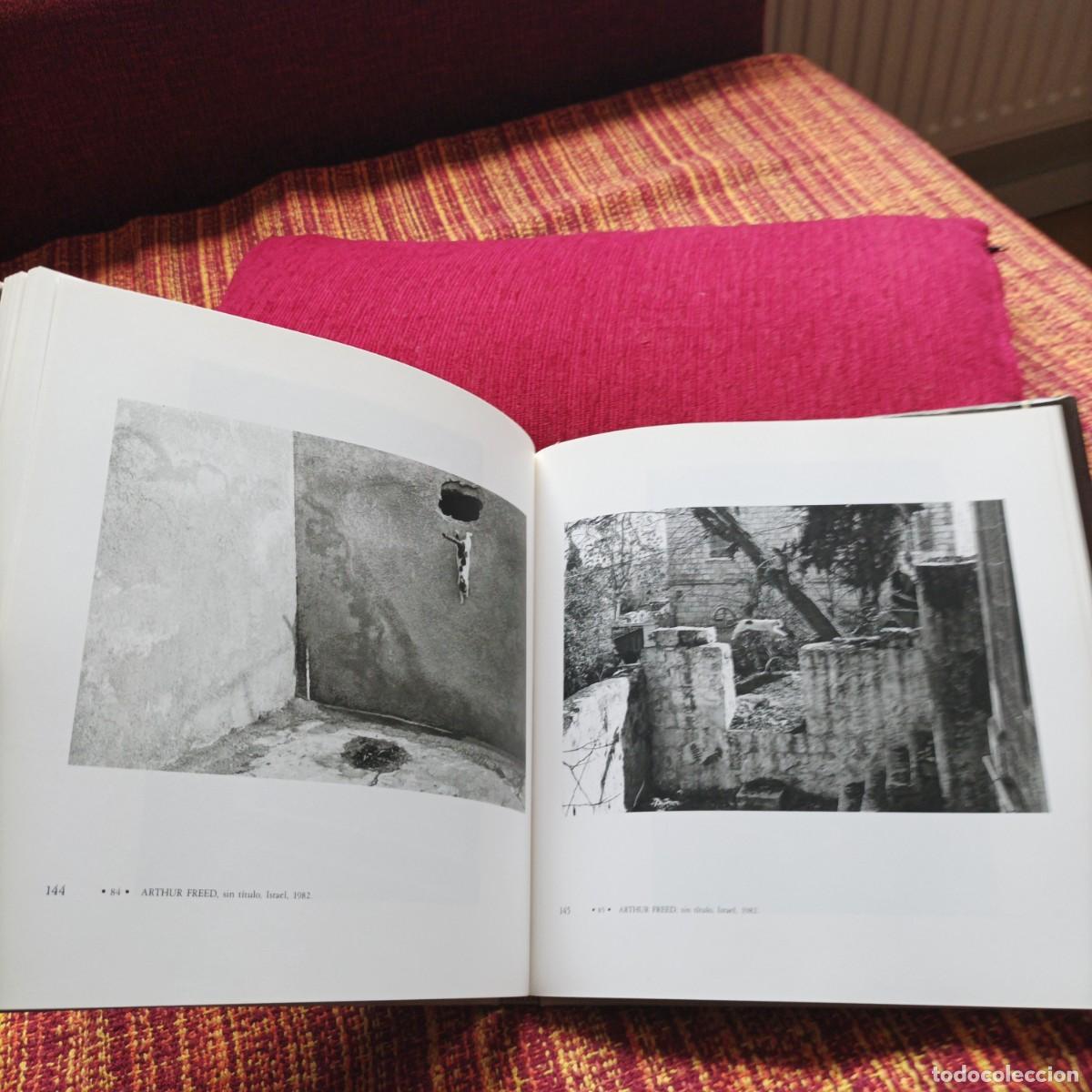 Libros: EL GATO EN LA FOTOGRAF&Iacute;A - Foto 2