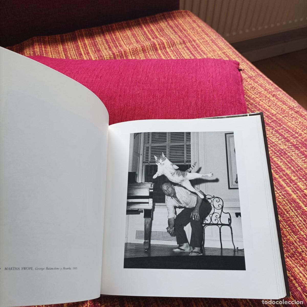 Libros: EL GATO EN LA FOTOGRAF&Iacute;A - Foto 3