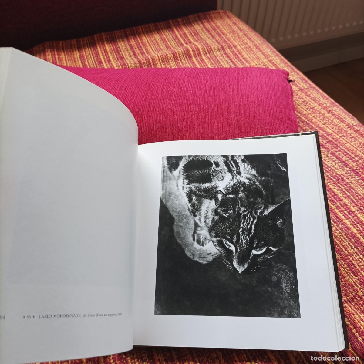 Libros: EL GATO EN LA FOTOGRAF&Iacute;A - Foto 4