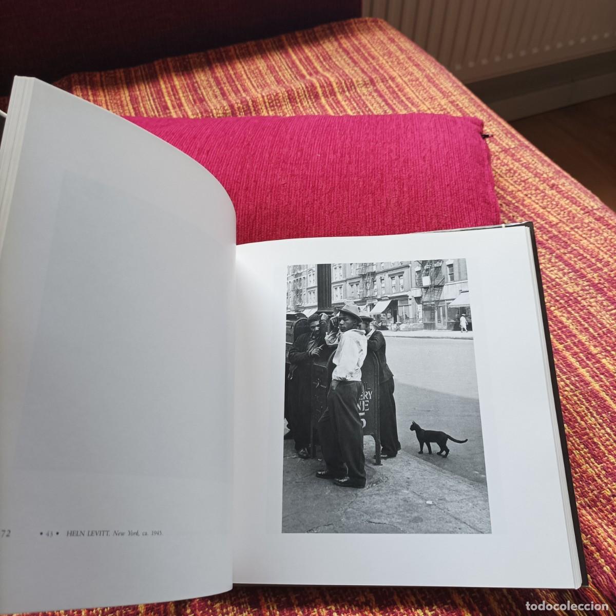 Libros: EL GATO EN LA FOTOGRAF&Iacute;A - Foto 5