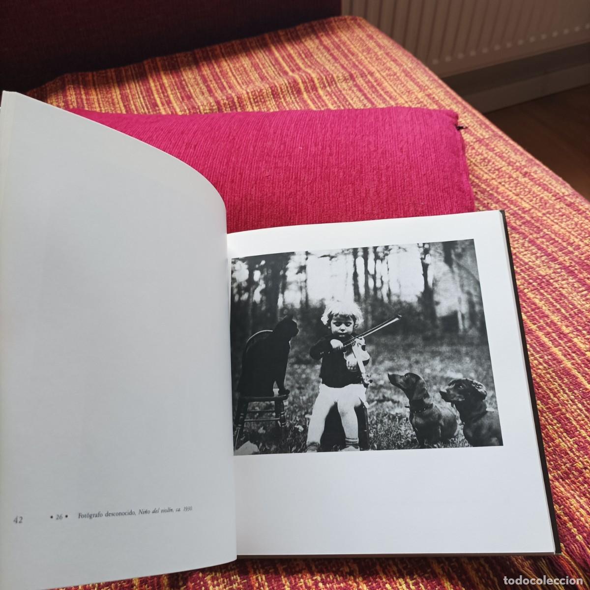 Libros: EL GATO EN LA FOTOGRAF&Iacute;A - Foto 6