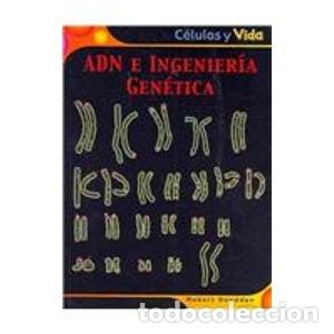 Libros: ADN E INGENIER&Iacute;A GEN&Eacute;TICA - Snedden,Robert - Foto 1