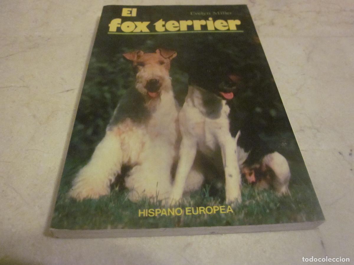 Libros: EVELYN MILLER - EL FOX TERRIER - HISPANO EUROPEA 1993 - Foto 1