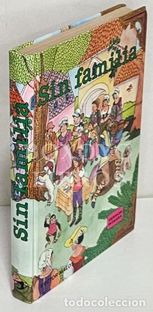Libros: MALOT, Hector. Sin familia - Foto 1