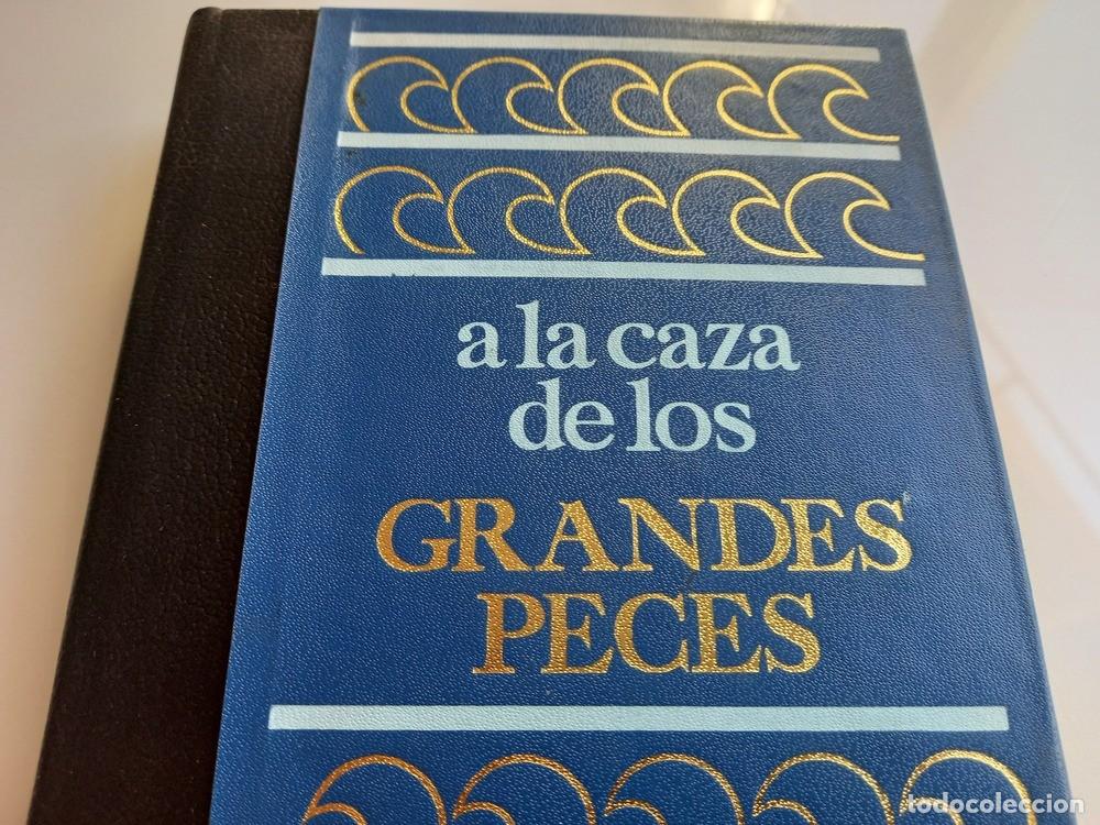 Libros: A LA CAZA DE LOS GRANDES PECES. (Marcel Isy-Schwart) Impecable - Foto 1