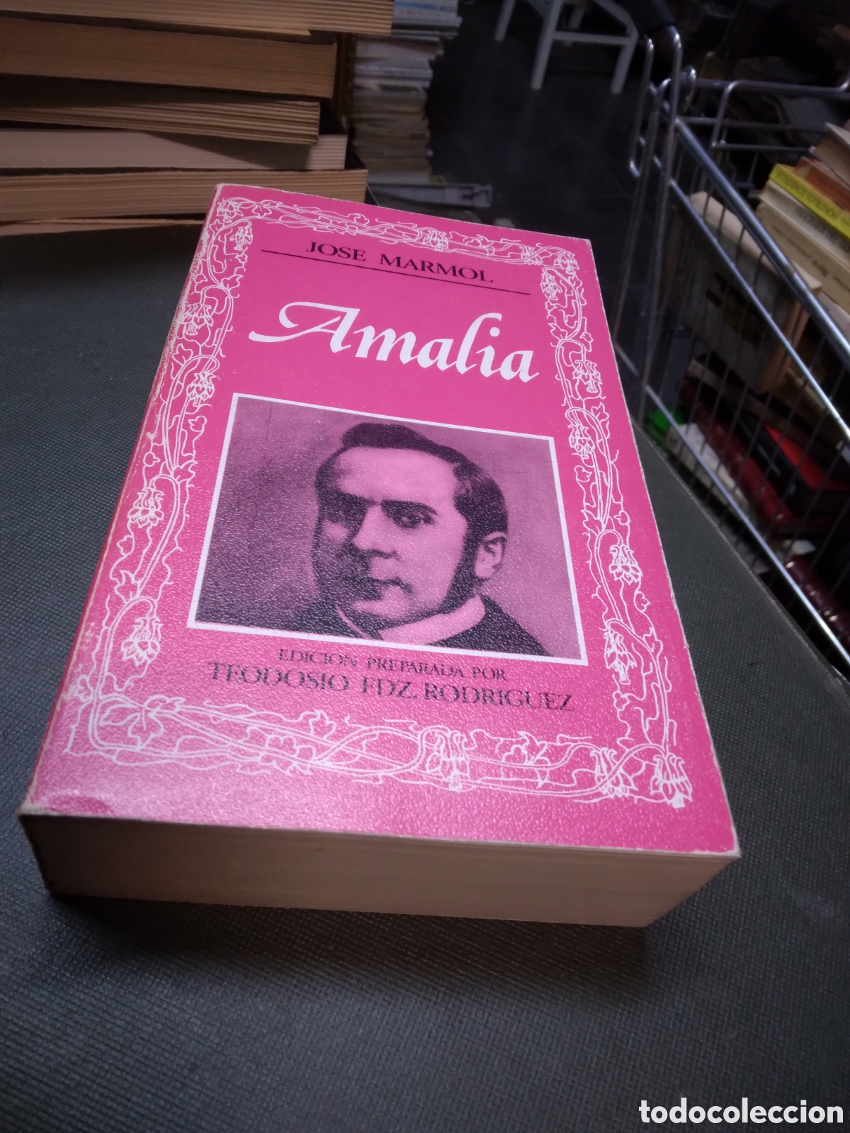 Libros: Jose Marmol, Amalia,Editorial Nacional - Foto 1