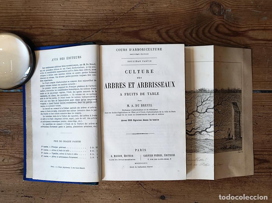 Libri di seconda mano: Culture des ARBRES ET ABRISSEAUX a fruits de table par... avec 5555 figures dans le texte - BREUIL,