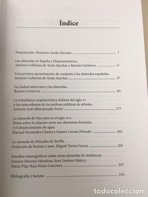 Libros: Las alamedas - A. Collantes de Ter&aacute;n - Serbal, 2019 - Foto 3