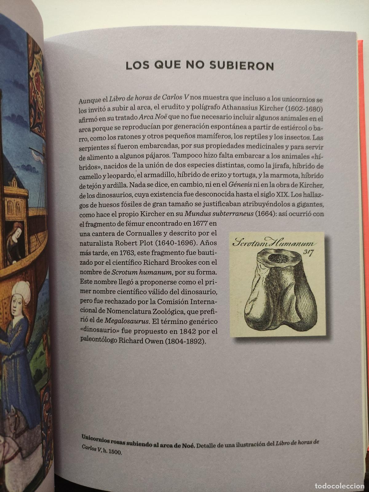 Libros: EL LIBRO DEL GENESIS - Blackie Books - Foto 3