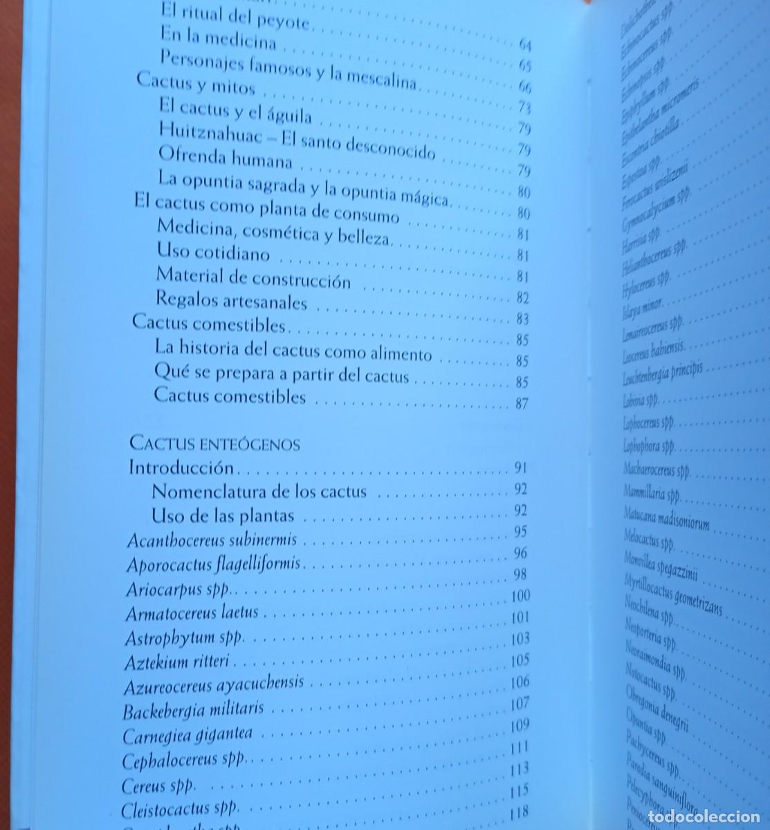 Libros: CACTUS ENTE&Oacute;GENOS -Markus Berger- - Foto 4