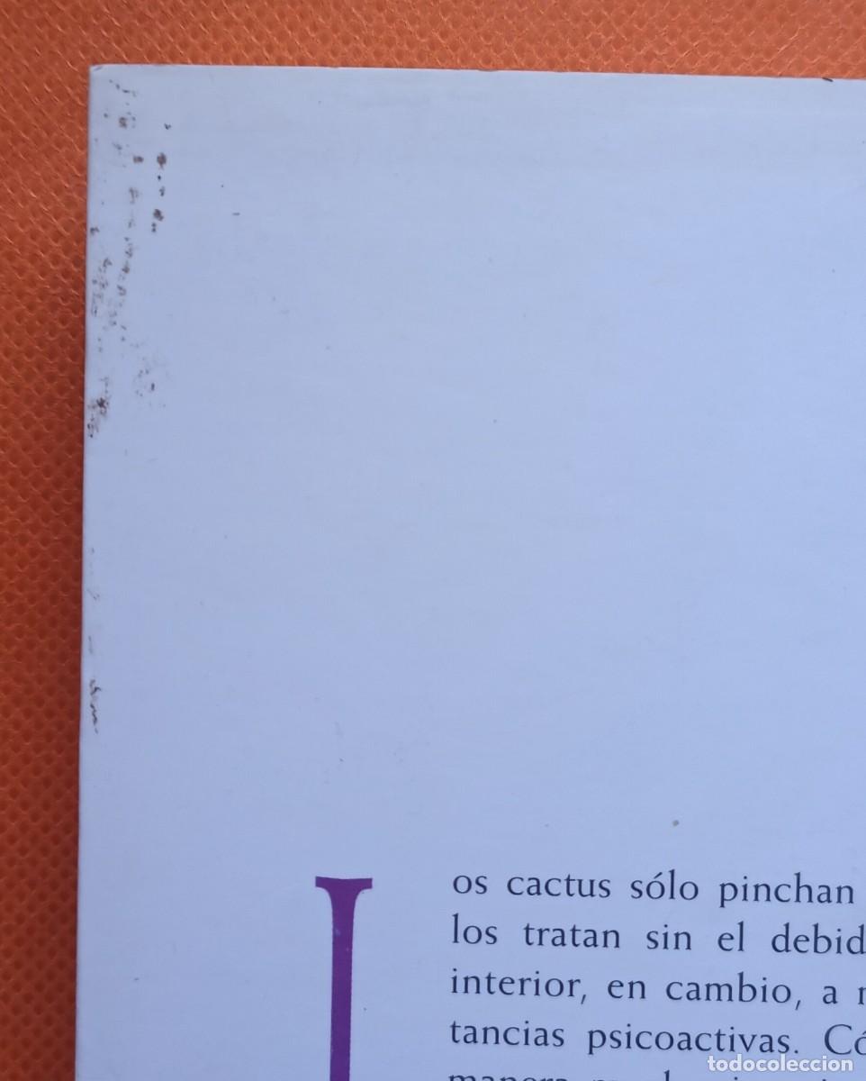 Libros: CACTUS ENTE&Oacute;GENOS -Markus Berger- - Foto 6