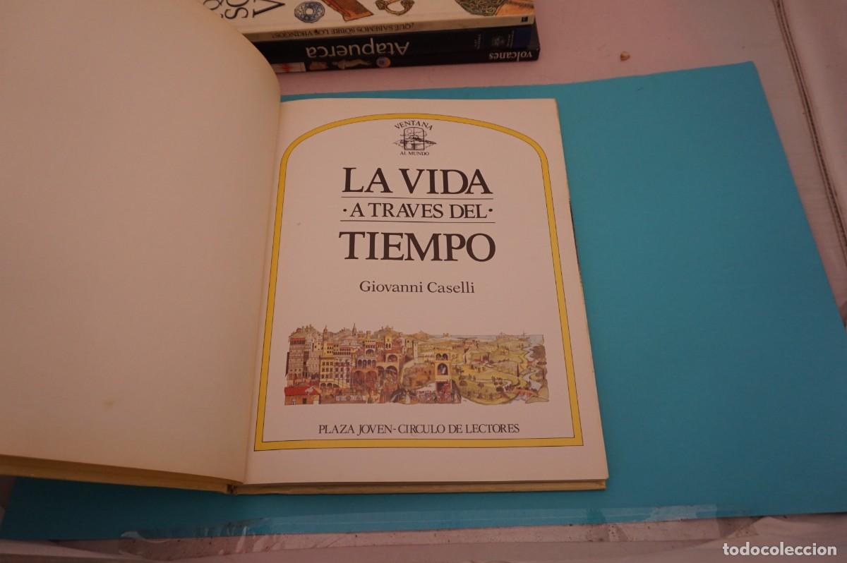 Libros: 18A/ LA VIDA A TRAVES DEL TIEMPO - GIOVANNI CASELLI / CIRCULO DE LECTORES - Foto 2