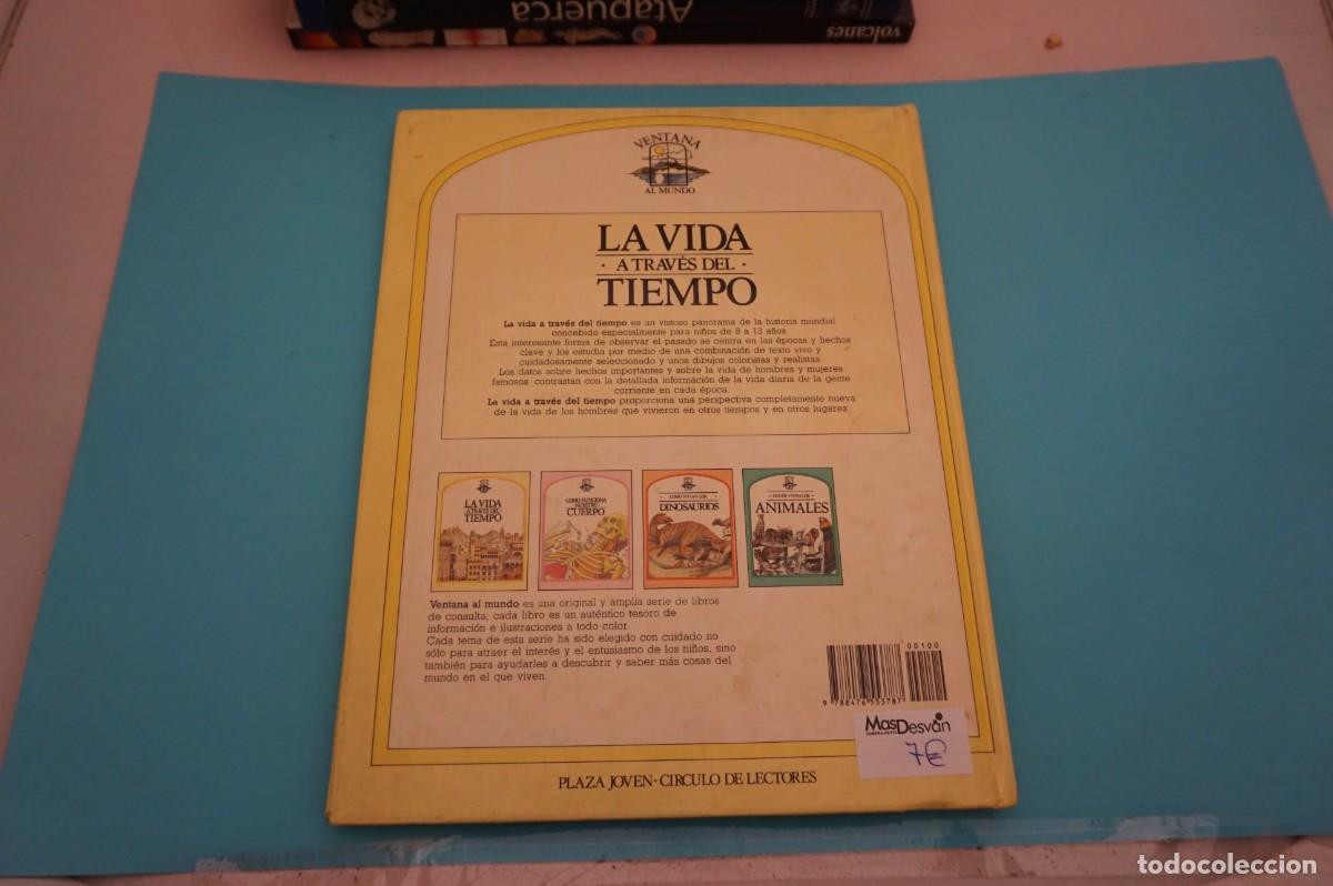 Libros: 18A/ LA VIDA A TRAVES DEL TIEMPO - GIOVANNI CASELLI / CIRCULO DE LECTORES - Foto 7