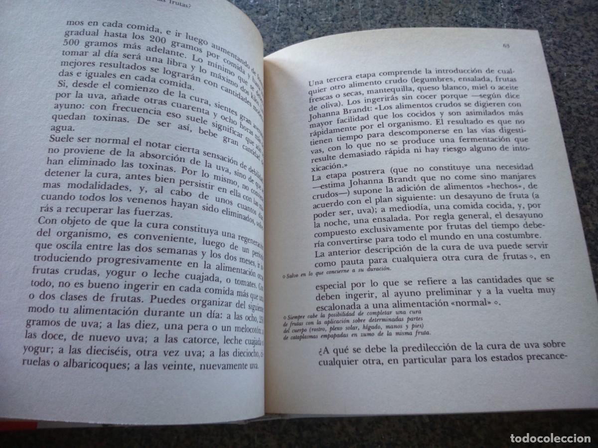 Libros: LAS CUALIDADES DE LAS FRUTAS -- MICHELINE BAZIN -- 1981 -- - Foto 2