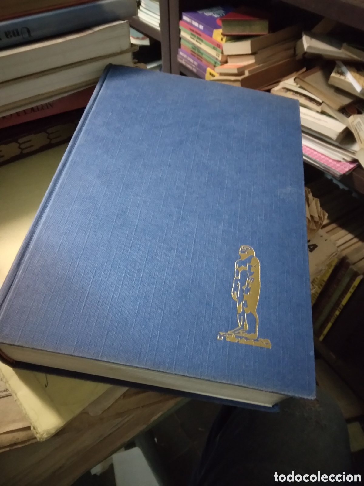 Libros: Herbert Wendt, Tras las huellas de Ad&aacute;n, Noguer - Foto 1