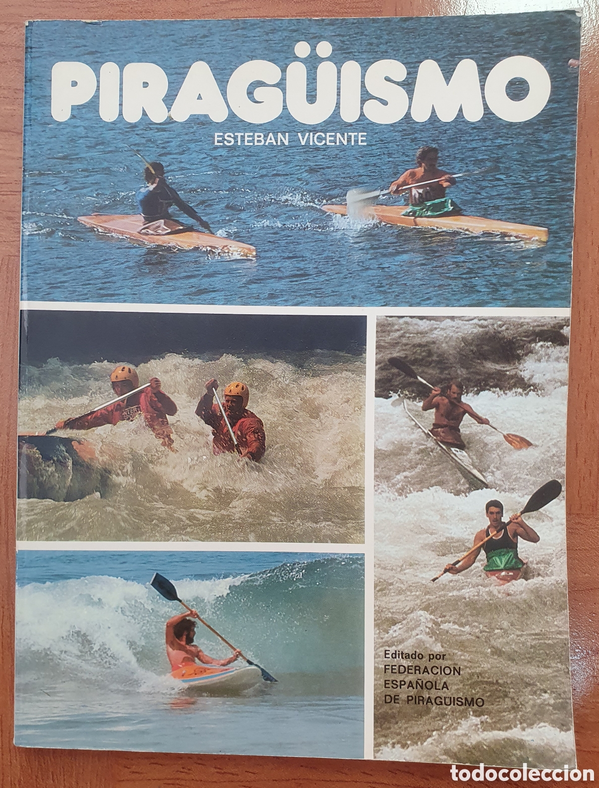 Libros: Pirag&uuml;ismo - Esteban Vicente - Foto 1