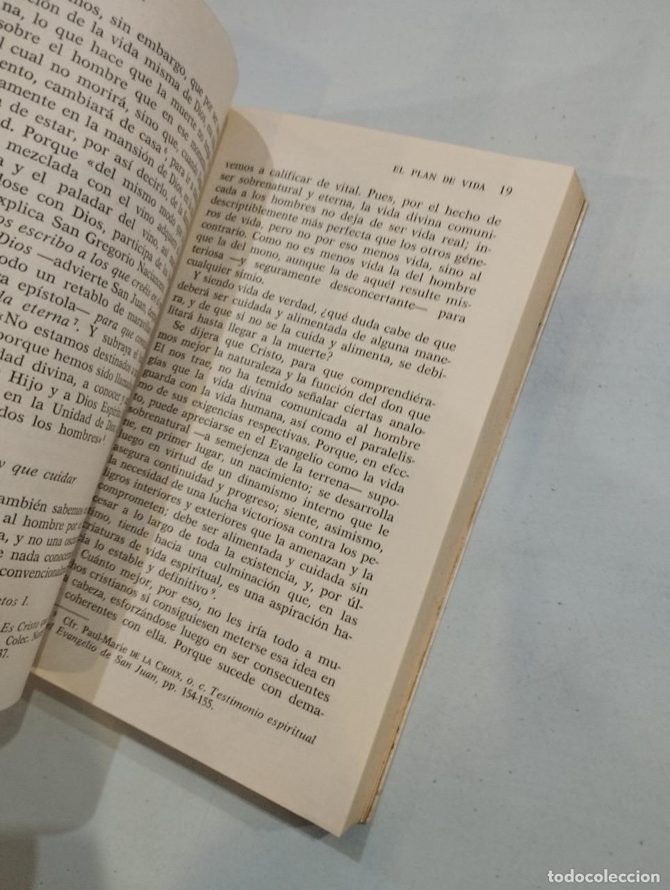 Libros: Alfonso Rey - El plan de vida - Foto 2