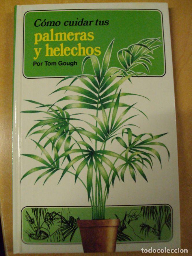 Libros: COMO CUIDAR TUS PALMERAS Y HELECHOS - TOM GOUGH - Foto 1