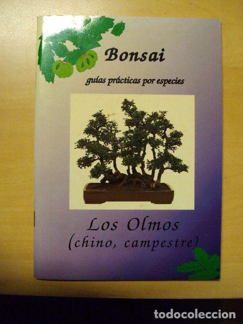 Libros: LOS OLMOS - JORGE PENALBA - Foto 1