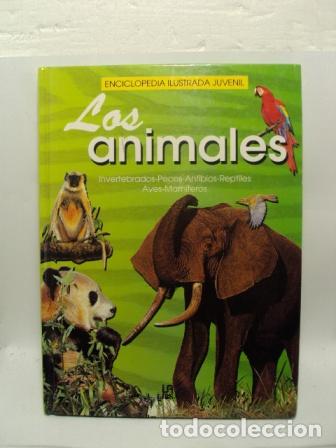 Libros: LOS ANIMALES - VARIOS AUTORES - Foto 1