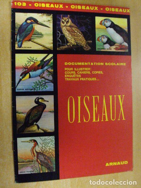 Libros: OISEAUX. DOCUMENTATION SCOLAIRE. N&ordm; 103 - TH. V. JASCHKE - Foto 1