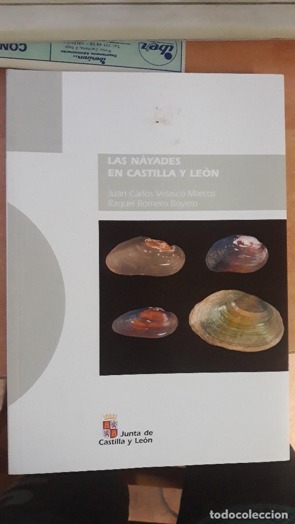 books: LAS N&Aacute;YADES EN CASTILLA Y LE&Oacute;N - JUAN CARLOS VELASCO MARCOS, RAQUEL ROMERO BOYERO