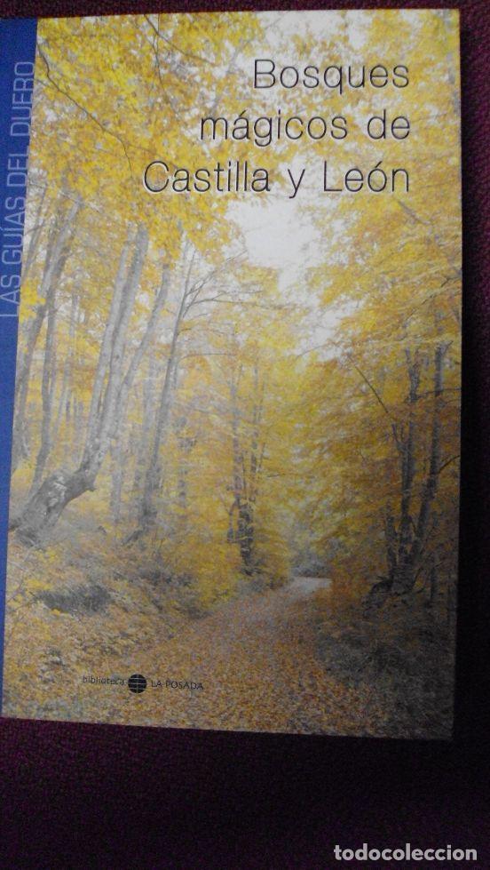 Libros: BOSQUES M&Aacute;GICOS DE CASTILLA Y LE&Oacute;N - JOAQU&Iacute;N ALONSO - Foto 1