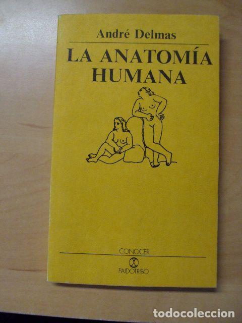 Libros: LA ANATOM&Iacute;A HUMANA - ANDR&Eacute; DELMAS - Foto 1