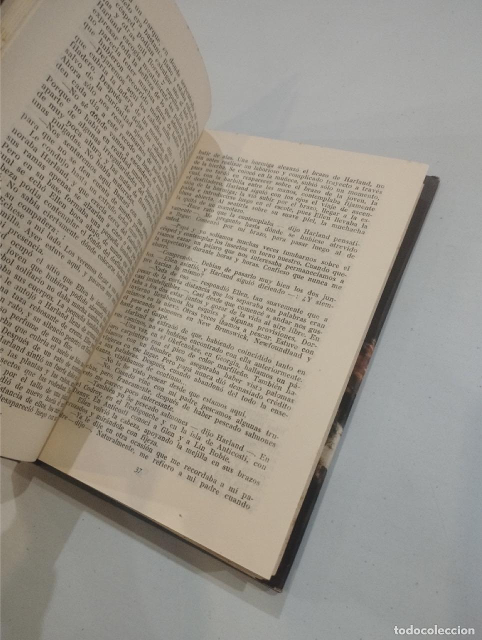 Libros: Ben Ames Williams - Que el cielo la juzgue - Foto 3