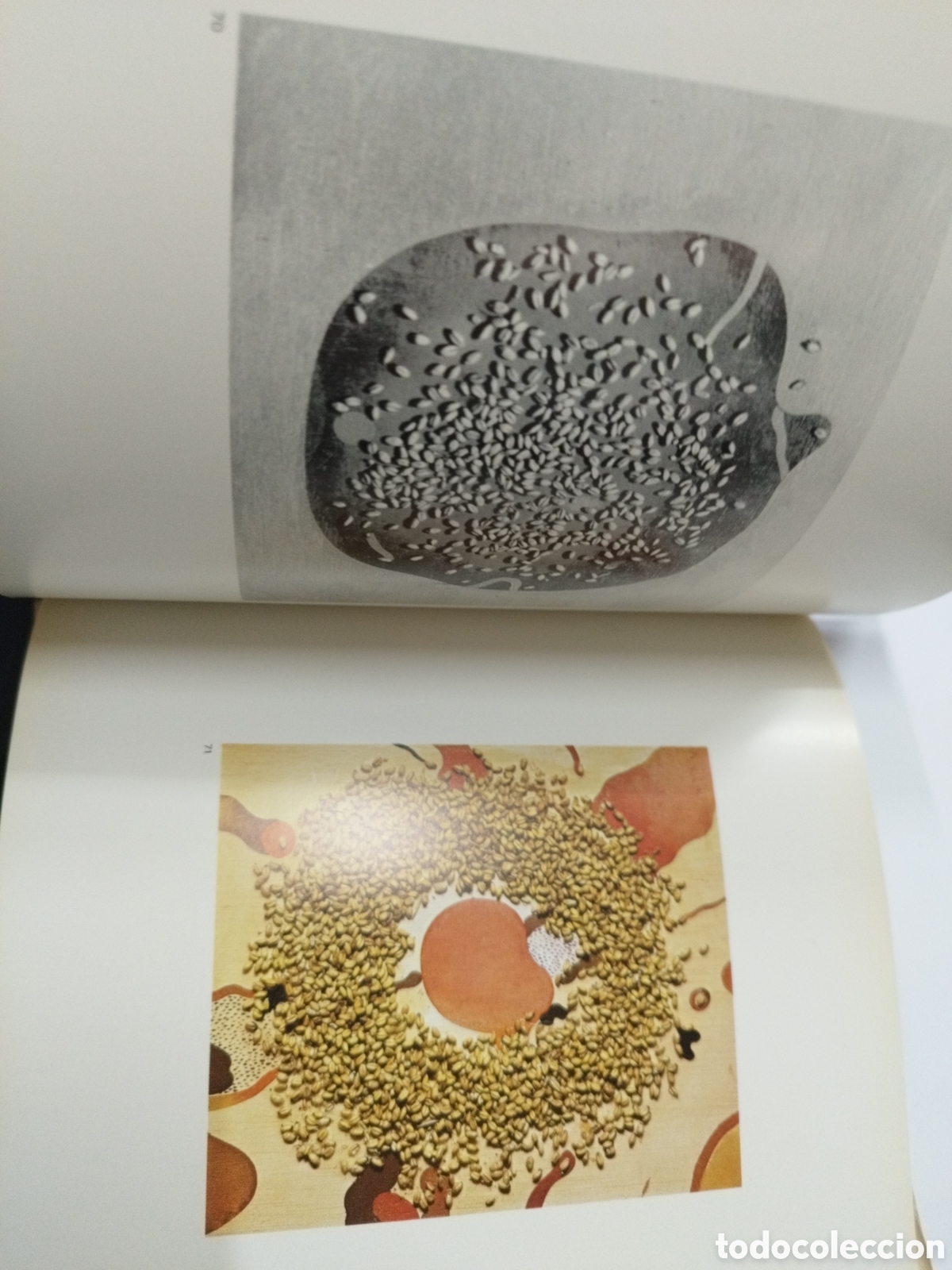 Libros: GUINOVART. La for&ccedil;a del llenguatge pl&aacute;stic - GIRALT MIRACLE,Daniel - Foto 6
