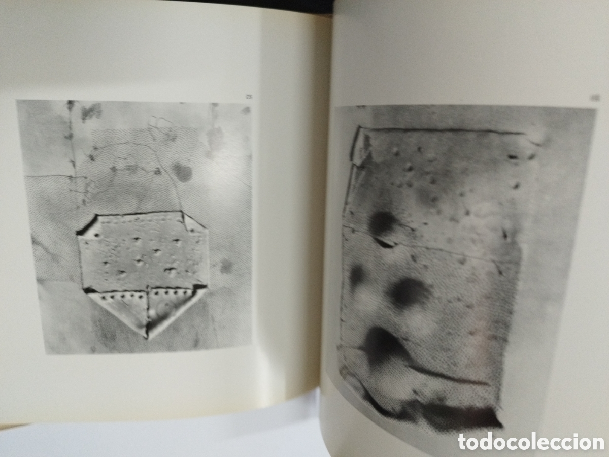 Libros: GUINOVART. La for&ccedil;a del llenguatge pl&aacute;stic - GIRALT MIRACLE,Daniel - Foto 7