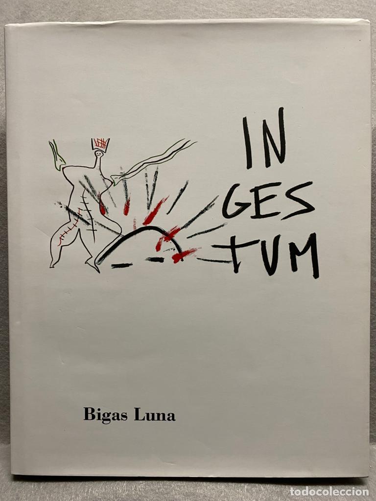 Libros: INGESTUM IVAM cat&aacute;logo. - BIGAS LUNA. - Foto 6