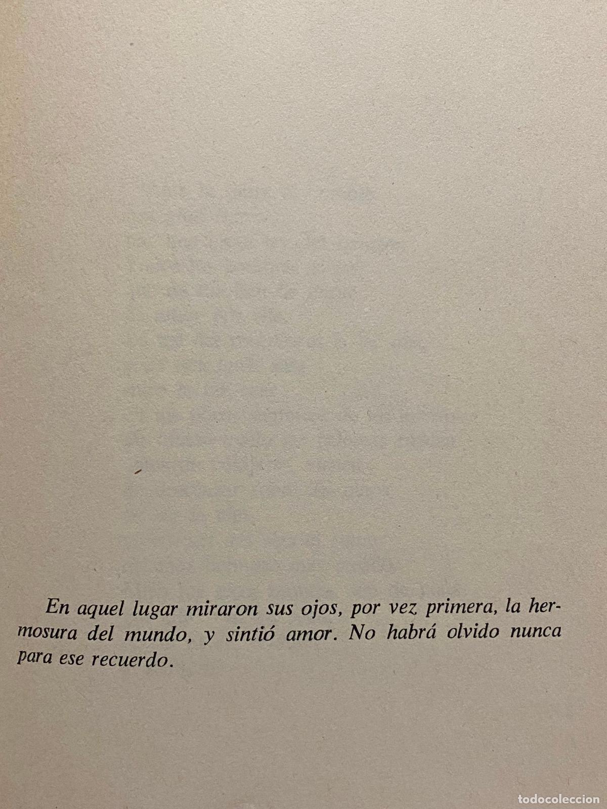 Libros: PALABRAS A LA OSCURIDAD. 1&ordf; edici&oacute;n. - BRINES, FRANCISCO. - Foto 2