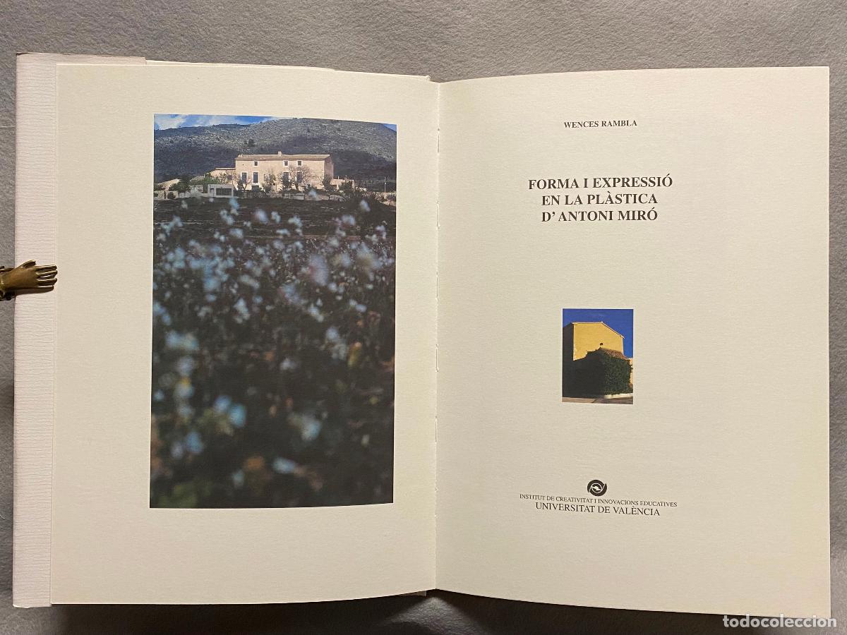 Libros: FORMA Y EXPRESI&Oacute;N EN LA PL&Aacute;STICA D&acute;ANTONI MIR&Oacute;. - RAMBLA, WENCES. - Foto 2