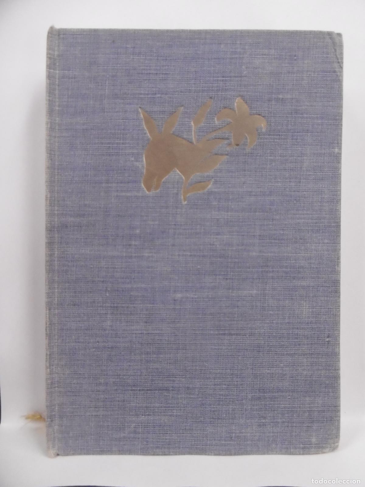 Libros: PLATERO Y YO. - JIM&Eacute;NEZ, JUAN RAM&Oacute;N. - Foto 11