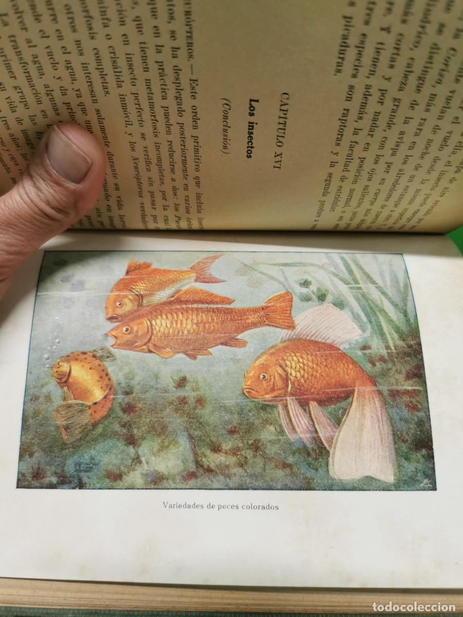 Libros: EL ACUARIO DE AGUA DULCE. S. MALUQUER NICOLAU - Foto 5