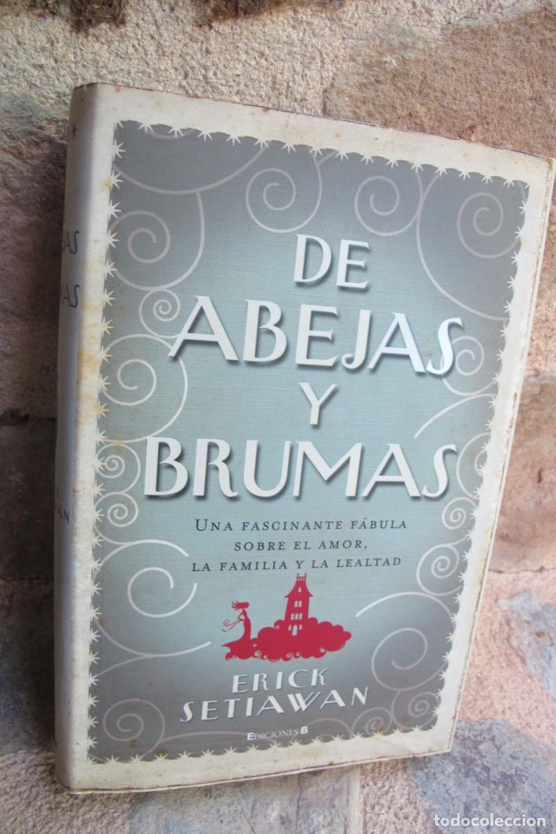 Libros: DE ABEJAS Y BRUMAS. ERICK SETIAWAN - Foto 1