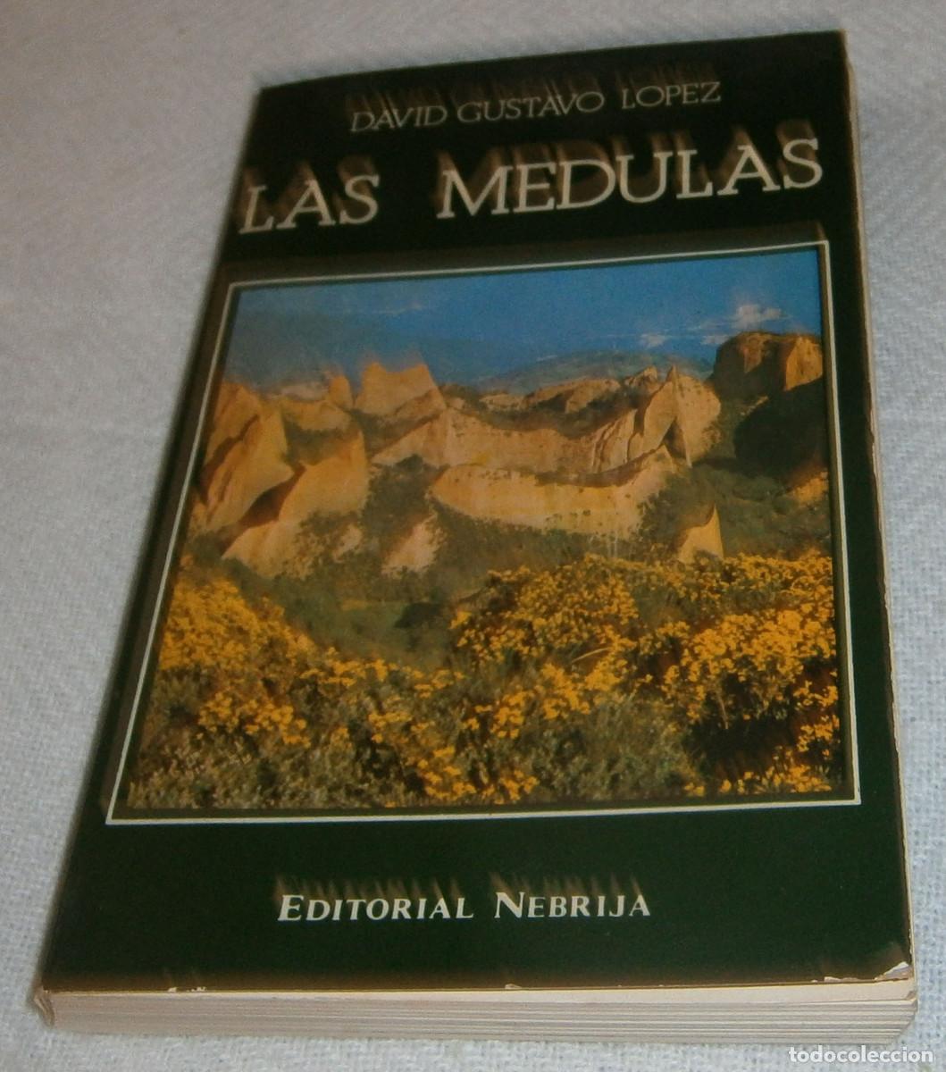 Libros: Las Medulas David Gustavo Lopez - Foto 2