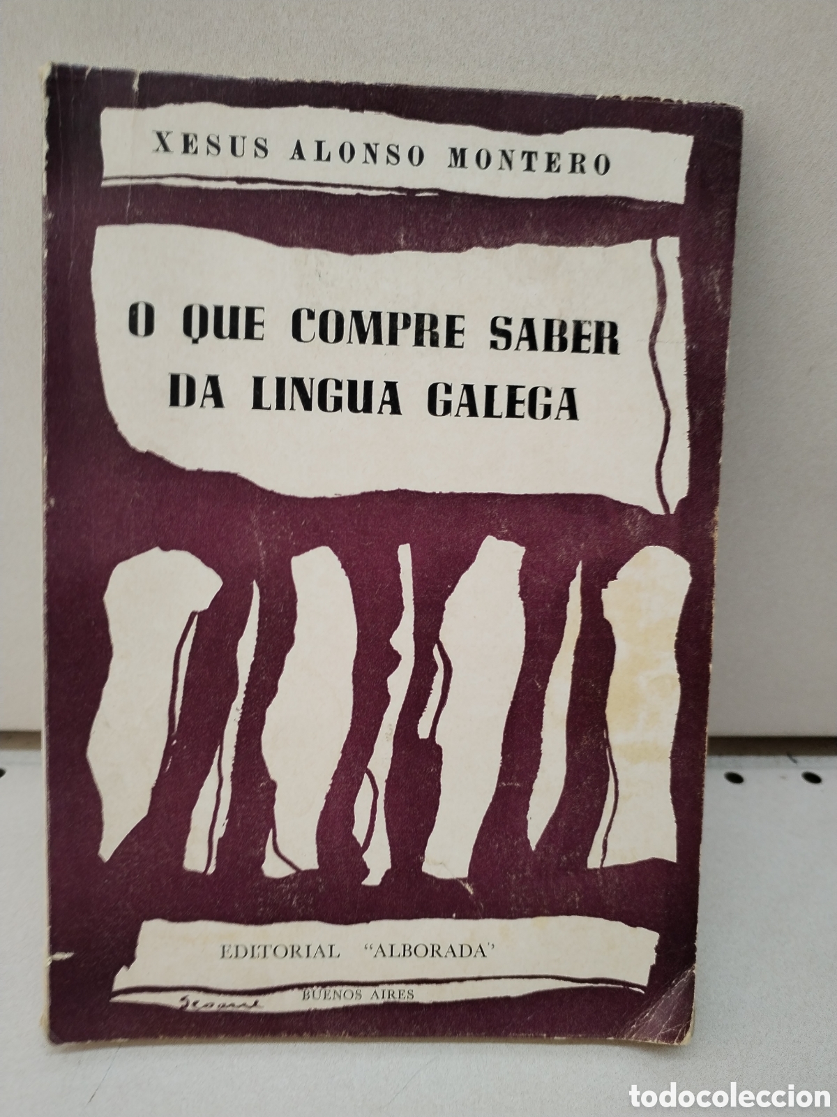 Libros: O QUE COMPRE SABER DA LINGUA GALEGA - XESUS ALONSO MONTERO - Foto 1