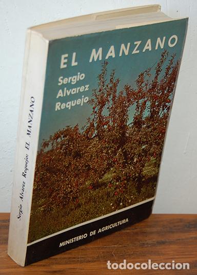 Libros: EL MANZANO - SERGIO &Aacute;LVAREZ REQUEJO - Foto 1