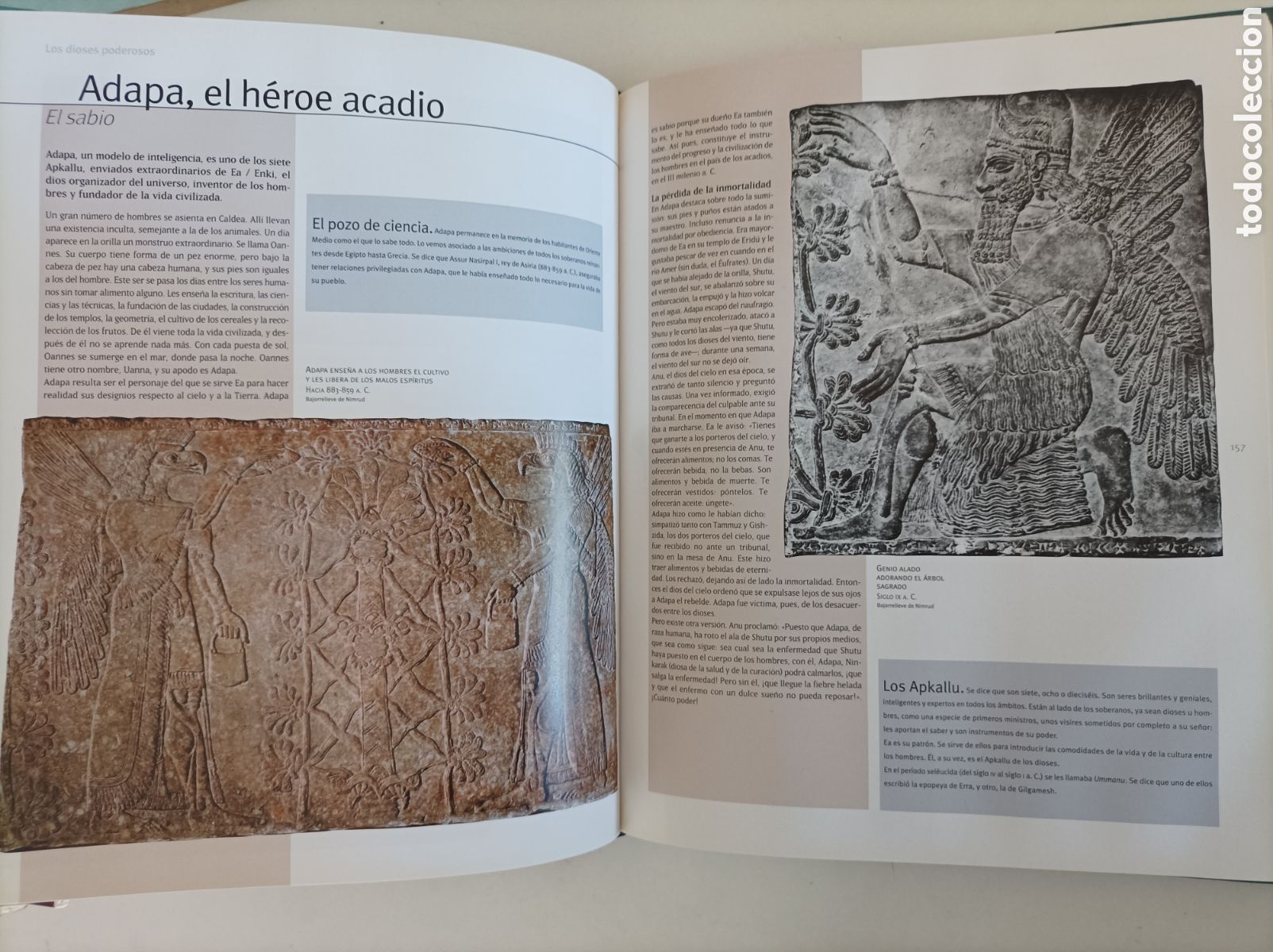 Libros: Mitolog&iacute;as del Mundo / Fernand Comte. - Foto 9