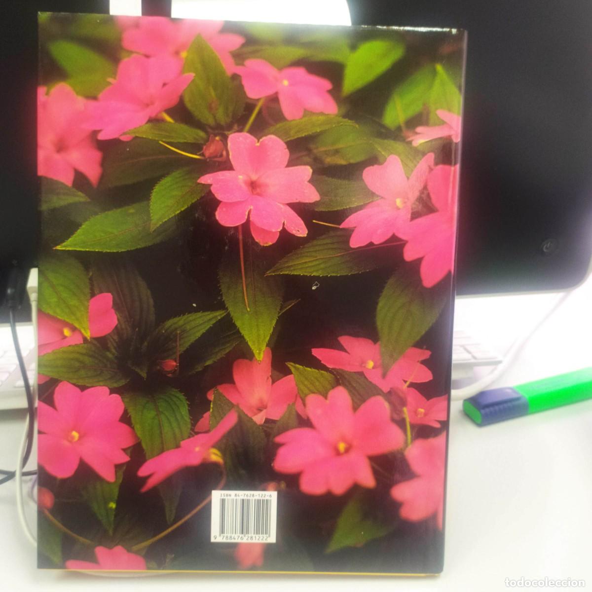 Libros: Plantas de compa&ntilde;&iacute;a - Xavier Bellido - Ediciones del Serbal, 1993 - Foto 2